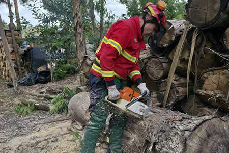 Instrução Interna