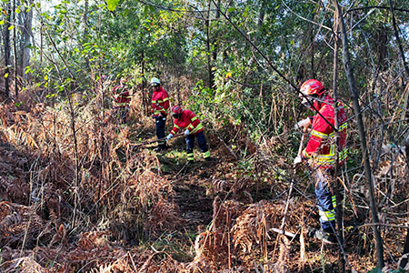 Formação de Ingresso na Carreira de Bombeiro Voluntário 2024