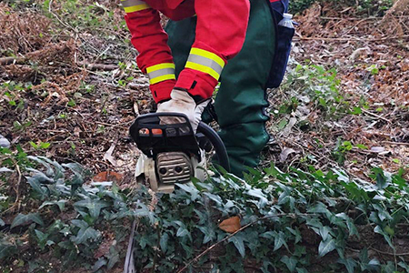 Formação de Ingresso na Carreira de Bombeiro Voluntário 2024