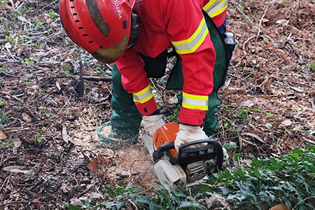 Formação de Ingresso na Carreira de Bombeiro Voluntário 2024