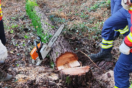 Formação de Ingresso na Carreira de Bombeiro Voluntário 2024