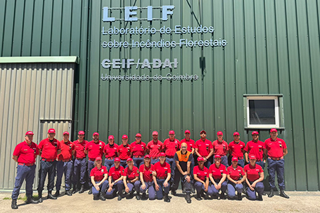 Instrução e Comportamento do fogo rural